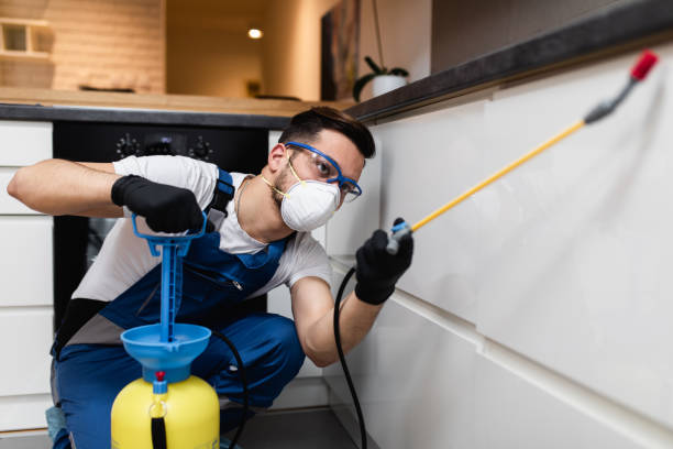 Best Wasp Removal Services  in Harrogate, TN