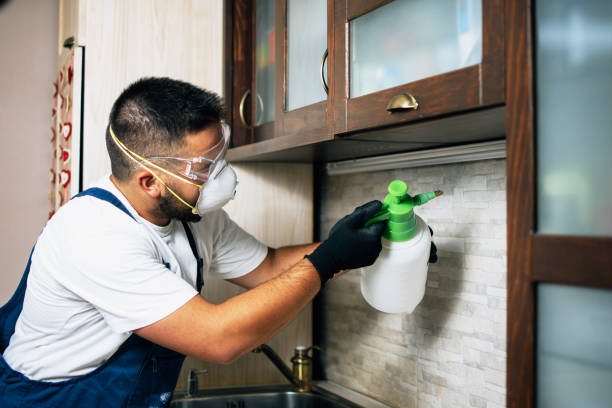 Pest Control Cost in Harrogate, TN