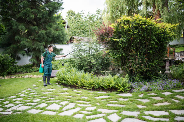 Best Best Pest Control Companies  in Harrogate, TN