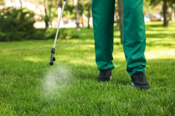Best Cockroach Control Services  in Harrogate, TN