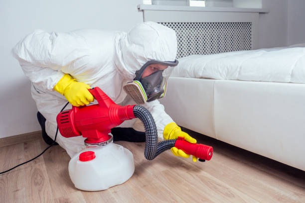 Best Pest Control for Businesses  in Harrogate, TN