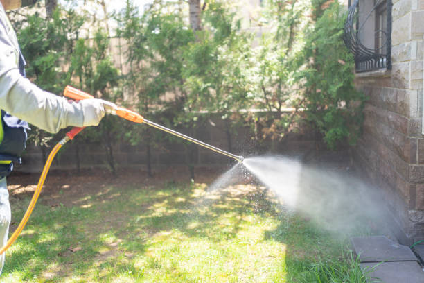 Best Pest Inspection Near Me  in Harrogate, TN