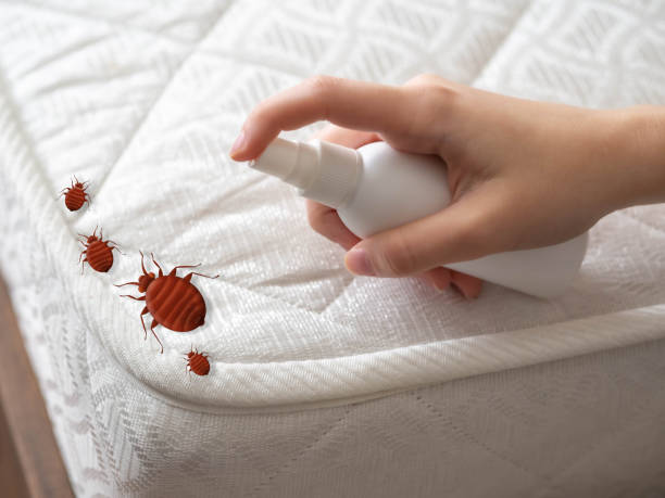 Best Pest Control Near Me in Harrogate, TN
