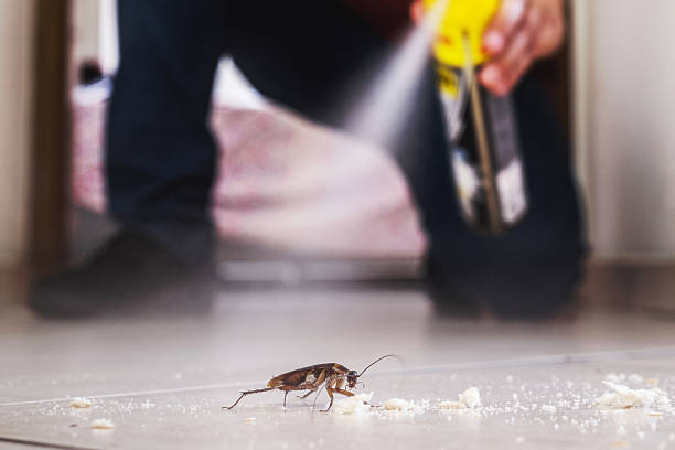 Best Best Pest Control Near Me  in Harrogate, TN