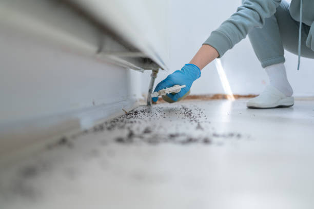 Best Pest Control Cost  in Harrogate, TN