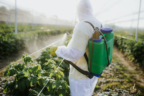 Best Emergency Pest Control  in Harrogate, TN